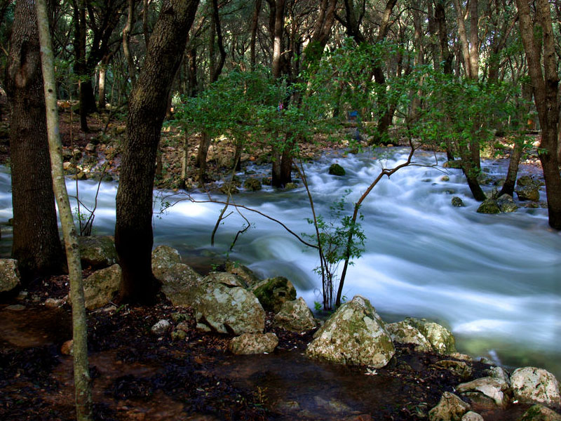 Fonts Ufanes, Campanet