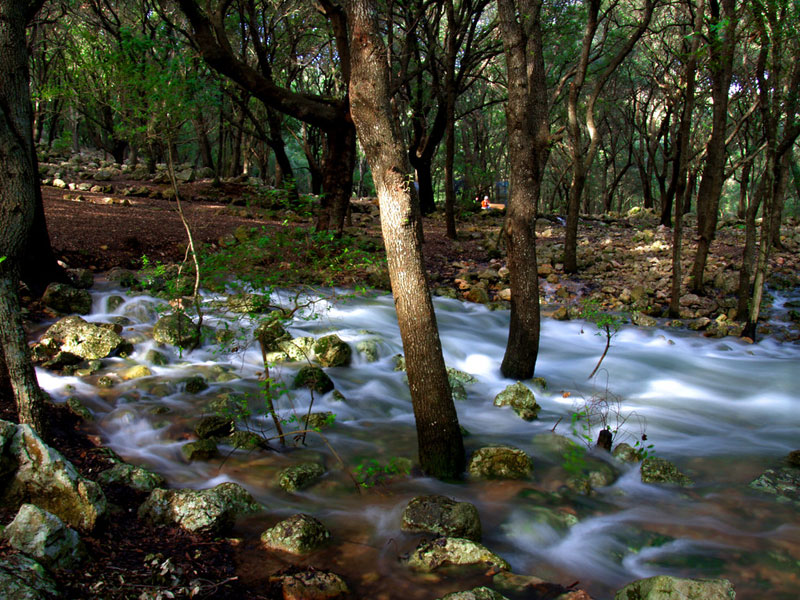 Fonts Ufanes, Campanet